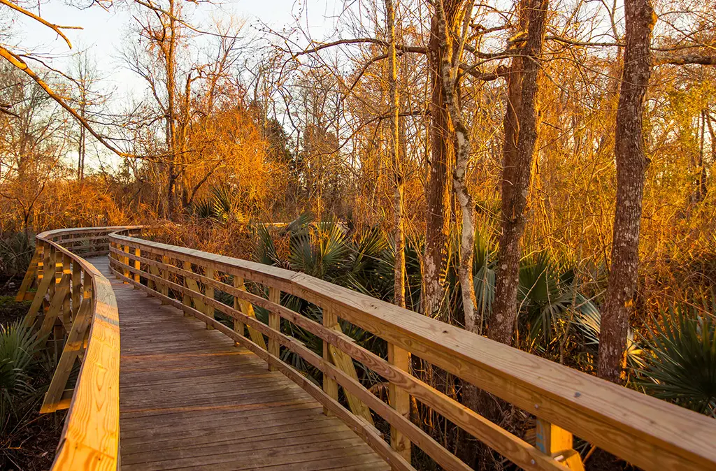 bancker walking trail