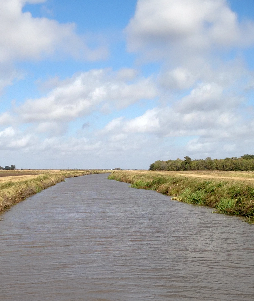 rice field drainage canal