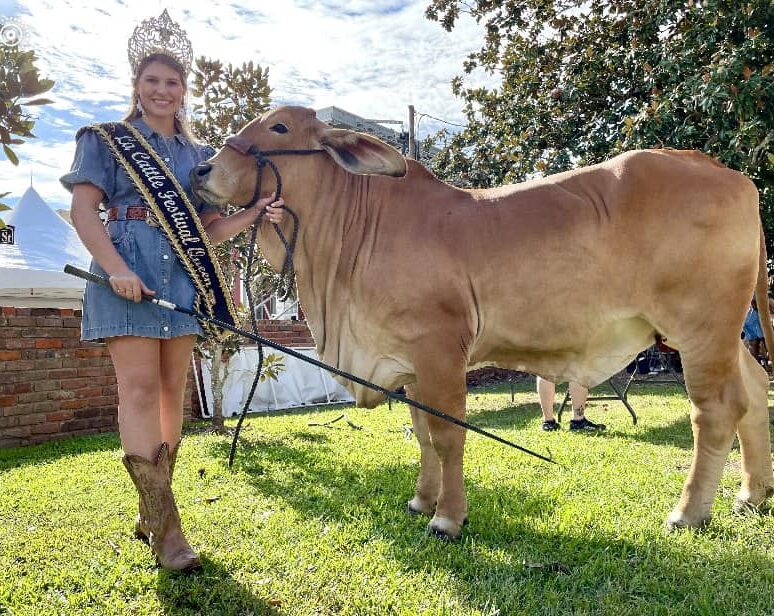 Cattle Festival Vermilion Louisiana