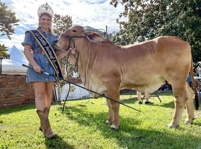 Cattle Festival Vermilion Louisiana